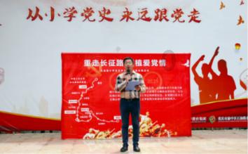 可爱小猫向上跳